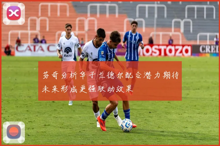 芬奇分析华子兰德尔配合潜力期待未来形成更强联动效果